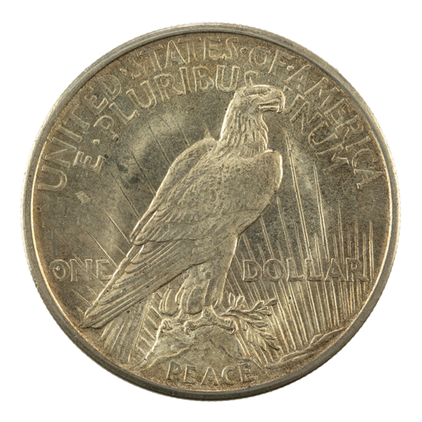 Peace Silver Dollar Buy & Sell Gold & Silver Wisely in Denver, CO